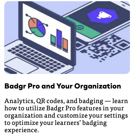 Badgr Pro and your organization