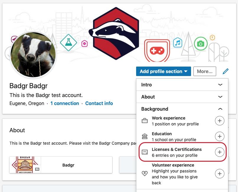 Sharing badges on social media